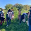 Kräuterwanderung Magdeburg